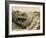 Battle of the Somme 1918-Robert Hunt-Framed Photographic Print