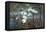 Battle of Tippecanoe, 1811-Science Source-Framed Premier Image Canvas