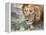 Battle-Scarred Lion Portrait, Tanzania-Charles Sleicher-Framed Premier Image Canvas