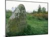 Battle Site, Culloden Moor, Highland Region, Scotland, United Kingdom-Adam Woolfitt-Mounted Photographic Print