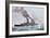 Battlecruiser HMS Lion Coming into Action, Battle of Jutland 31 May - 1 June 1916-null-Framed Giclee Print