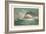 Battleship Texas, Battleship Iowa, and Torpedoboat Porter, 1899-Werner-Framed Art Print