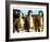 Battlestar Galactica-null-Framed Photo