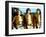 Battlestar Galactica-null-Framed Photo