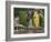 Batu Caves, Hindu Shrine, With Statue of Lord Muruguan, Selangor, Malaysia, Southeast Asia, Asia-Jochen Schlenker-Framed Photographic Print