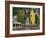 Batu Caves, Hindu Shrine, With Statue of Lord Muruguan, Selangor, Malaysia, Southeast Asia, Asia-Jochen Schlenker-Framed Photographic Print