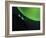 Batwing Bubbles-Jacqueline Hammer-Framed Photographic Print