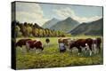Stretched Canvas Print