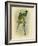 Bauer's Parakeet or Port Lincoln Lory, 1891-Gracius Broinowski-Framed Giclee Print