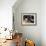 Baugin: Still Life-Lubin Baugin-Framed Giclee Print displayed on a wall