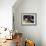 Baugin: Still Life-Lubin Baugin-Framed Giclee Print displayed on a wall