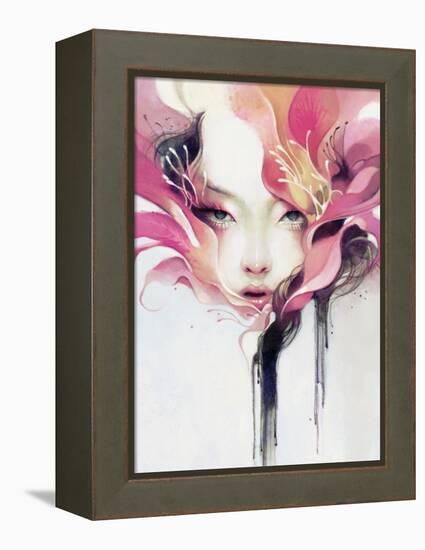 Bauhinia-Anna Dittman-Framed Stretched Canvas