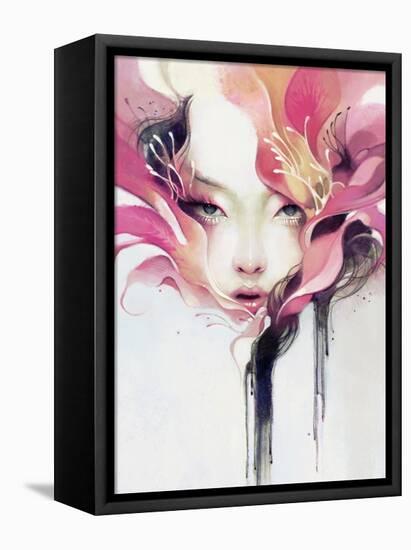 Bauhinia-Anna Dittman-Framed Stretched Canvas