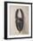 Baule Horned Mask, Ivory Coast, 19th-20th Century (Wood & Horn)-null-Framed Giclee Print