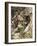 Baumstamm, Verwachsen, Detail, Baum, Stamm, Alt, Knorrig-Thonig-Framed Photographic Print