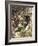 Baumstamm, Verwachsen, Detail, Baum, Stamm, Alt, Knorrig-Thonig-Framed Photographic Print