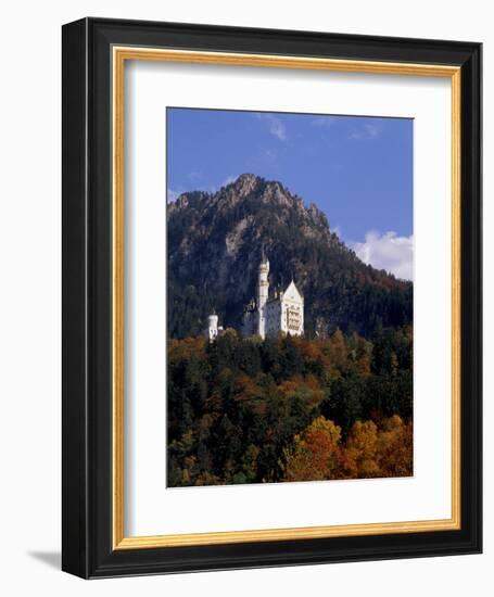 Bavarian Alps and Neuschwanstein Castle, Germany-Bill Bachmann-Framed Photographic Print