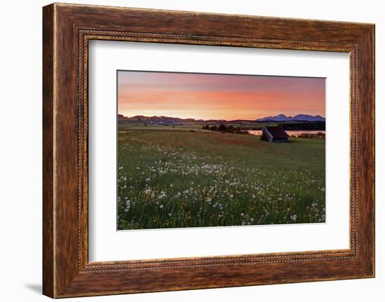 Bavarian Foothills of the Alps-Bernd Rommelt-Framed Photographic Print