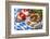 Bavarian White Sausages with Sweet Mustard and Bretzels-egal-Framed Photographic Print