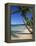 Bavaro Beach, Dominican Republic, West Indies, Caribbean, Central America-Lightfoot Jeremy-Framed Premier Image Canvas