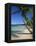 Bavaro Beach, Dominican Republic, West Indies, Caribbean, Central America-Lightfoot Jeremy-Framed Premier Image Canvas