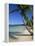 Bavaro Beach, Dominican Republic, West Indies, Caribbean, Central America-Lightfoot Jeremy-Framed Premier Image Canvas