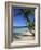 Bavaro Beach, Dominican Republic, West Indies, Caribbean, Central America-Lightfoot Jeremy-Framed Photographic Print