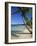 Bavaro Beach, Dominican Republic, West Indies, Caribbean, Central America-Lightfoot Jeremy-Framed Photographic Print