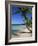 Bavaro Beach, Dominican Republic, West Indies, Caribbean, Central America-Lightfoot Jeremy-Framed Photographic Print