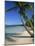 Bavaro Beach, Dominican Republic, West Indies, Caribbean, Central America-Lightfoot Jeremy-Mounted Photographic Print
