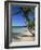 Bavaro Beach, Dominican Republic, West Indies, Caribbean, Central America-Lightfoot Jeremy-Framed Photographic Print