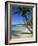 Bavaro Beach, Dominican Republic, West Indies, Caribbean, Central America-Lightfoot Jeremy-Framed Photographic Print