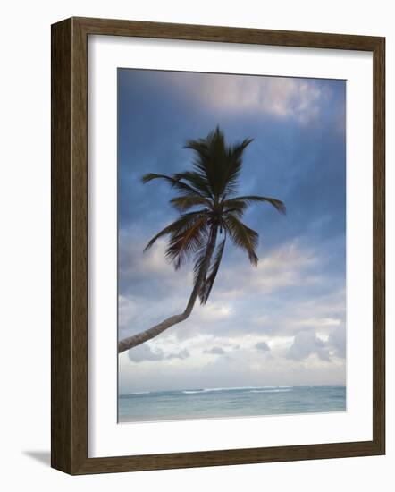 Bavaro Beach Palms at Dawn, Bavaro, Punta Cana Region, Dominican Republic-Walter Bibikow-Framed Photographic Print