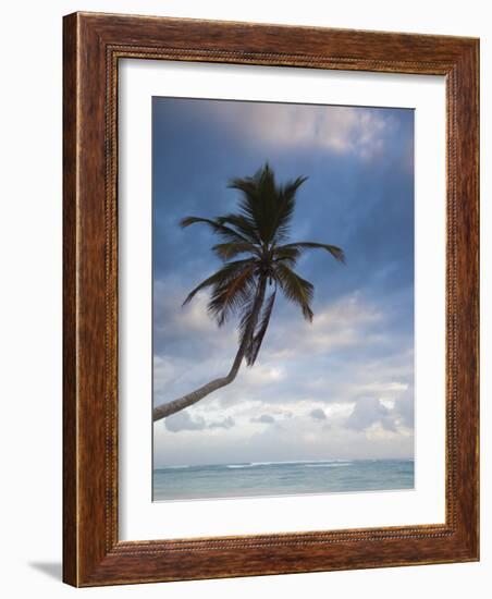 Bavaro Beach Palms at Dawn, Bavaro, Punta Cana Region, Dominican Republic-Walter Bibikow-Framed Photographic Print