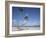 Bavaro Beach, Punta Cana, Dominican Republic, West Indies, Caribbean, Central America-Frank Fell-Framed Photographic Print