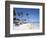 Bavaro Beach, Punta Cana, Dominican Republic, West Indies, Caribbean, Central America-Frank Fell-Framed Photographic Print