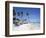 Bavaro Beach, Punta Cana, Dominican Republic, West Indies, Caribbean, Central America-Frank Fell-Framed Photographic Print