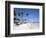 Bavaro Beach, Punta Cana, Dominican Republic, West Indies, Caribbean, Central America-Frank Fell-Framed Photographic Print