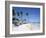 Bavaro Beach, Punta Cana, Dominican Republic, West Indies, Caribbean, Central America-Frank Fell-Framed Photographic Print