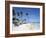 Bavaro Beach, Punta Cana, Dominican Republic, West Indies, Caribbean, Central America-Frank Fell-Framed Photographic Print