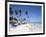 Bavaro Beach, Punta Cana, Dominican Republic, West Indies, Caribbean, Central America-Frank Fell-Framed Photographic Print