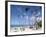 Bavaro Beach, Punta Cana, Dominican Republic, West Indies, Caribbean, Central America-Frank Fell-Framed Photographic Print