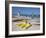 Bavaro Beach, Punta Cana, Dominican Republic, West Indies, Caribbean, Central America-Frank Fell-Framed Photographic Print