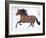 Bay Andalusian Stallion Running in the Snow, Berthoud, Colorado, USA-Carol Walker-Framed Photographic Print