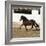 Bay Andalusian Stallion Trotting in Arena Yard, Osuna, Spain-Carol Walker-Framed Photographic Print