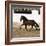 Bay Andalusian Stallion Trotting in Arena Yard, Osuna, Spain-Carol Walker-Framed Photographic Print