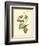 Bay Breasted Wood-Warbler-John James Audubon-Framed Art Print