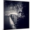 Bay Bridge, All Dressed Up, San Francisco-Vincent James-Mounted Photographic Print