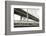 Bay Bridge and Pier, no. 1-Christian Peacock-Framed Giclee Print