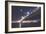 Bay Bridge by Moonlight, San Francisco-Vincent James-Framed Photographic Print